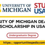 University of Michigan Dearborn Undergraduate Scholarships in USA 2025