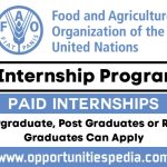 FAO Internship Programme 2026 | Paid Internships