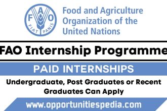 FAO Internship Programme 2026 | Paid Internships