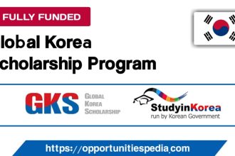 Global Korea Scholarship GKS-U 2026 in South Korea (Fully Funded)