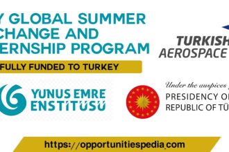 Sky Global Summer Exchange and Internship Program 2022 in Turkey (Fully Funded)