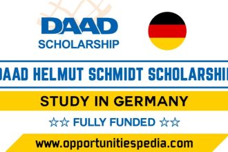 DAAD Helmut Schmidt Scholarships in Germany 2026 (Fully Funded)