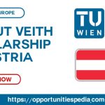 Helmut Veith Scholarship 2025-2026 at TU Wien in Austria
