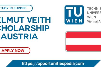 Helmut Veith Scholarship 2025-2026 at TU Wien in Austria