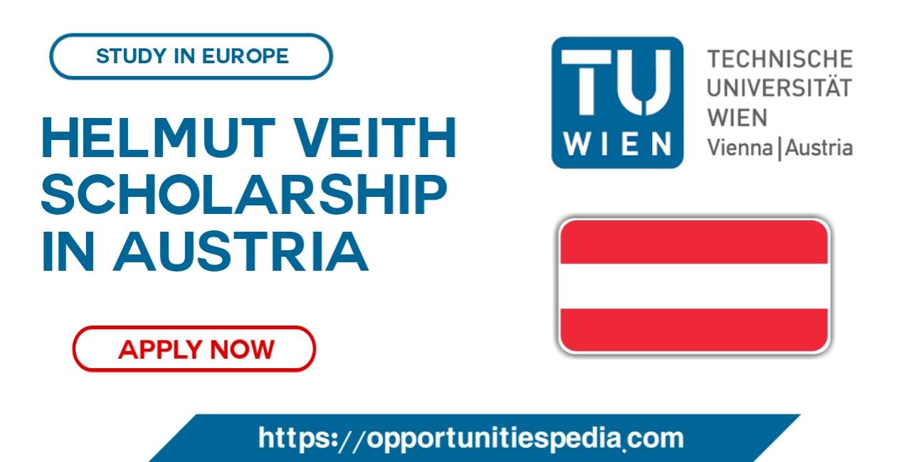 Helmut Veith Scholarship 2025-2026 at TU Wien in Austria