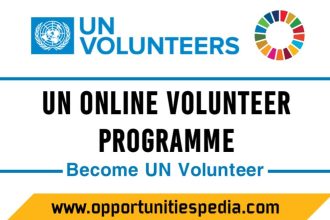 UN Online Volunteers Program (Become UN Volunteer)