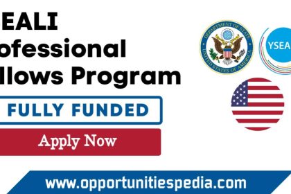 YSEALI Professional Fellows Program 2025 in the USA (Fully Funded)