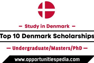 Top 10 Denmark Scholarships 2025-26 (Study in Europe)