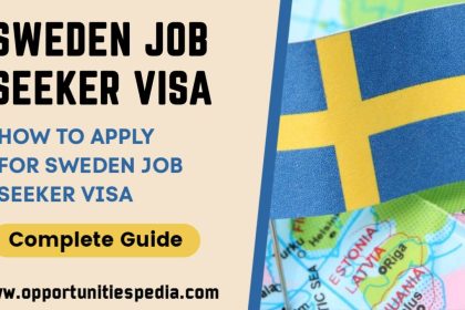 Sweden Job Seeker Visa 2025 | Process & Requirements