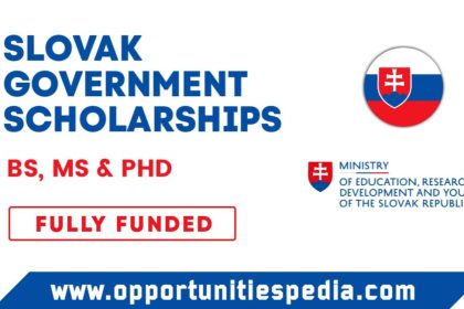 Slovak Government Scholarships 2024-2025 (Fully Funded)