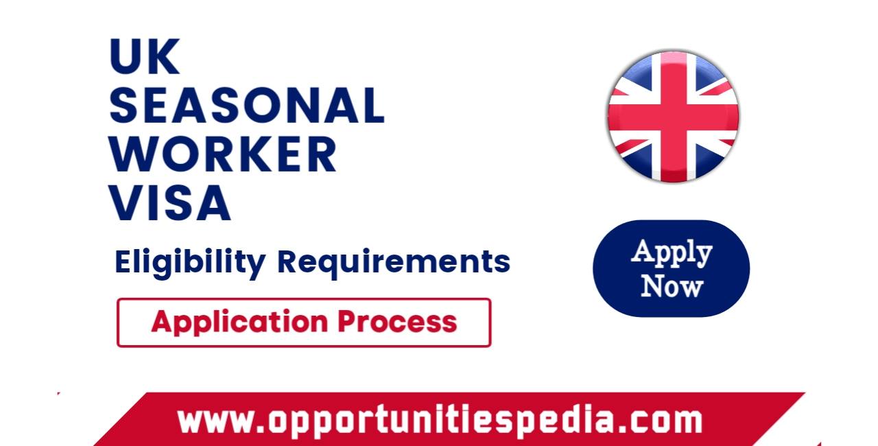 UK Seasonal Worker Visa 2025: Application Process