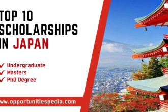 Top 10 Scholarships in Japan For International Students 2025-26