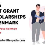DDSA Visit Grant Scholarships 2025 in Denmark