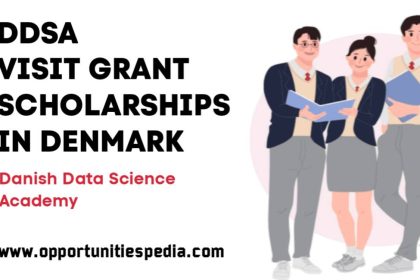 DDSA Visit Grant Scholarships 2025 in Denmark