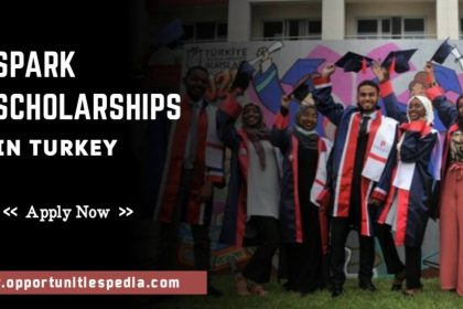 SPARK Scholarship Program 2024 in Turkey
