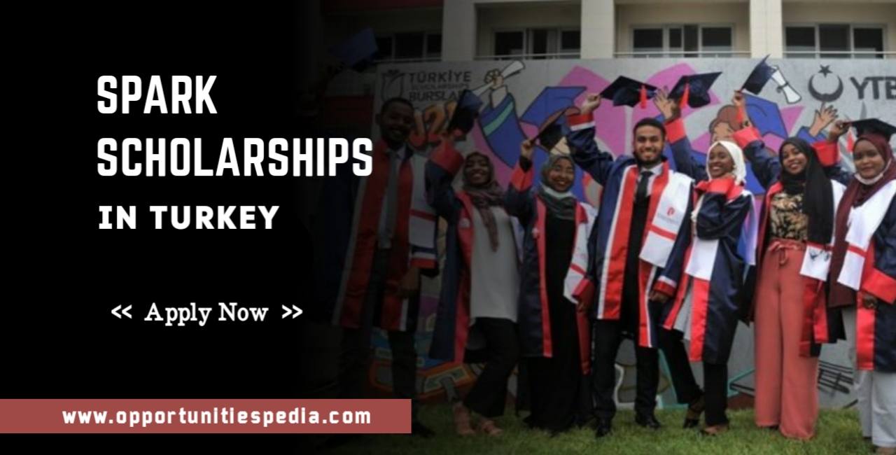 SPARK Scholarship Program 2024 in Turkey