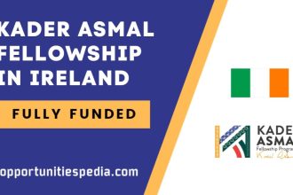Kader Asmal Fellowship 2026-27 in Ireland (Fully Funded)
