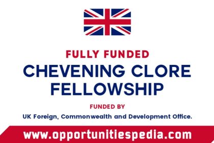 Chevening Clore Leadership Fellowship 2026 in UK (Fully Funded)