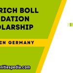 Heinrich Boll Foundation Scholarships 2026 in Germany