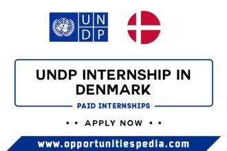 UNDP Internship 2025 in Denmark (Paid Internships)