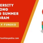 University of Hong Kong Summer Program 2025 (Fully Funded)