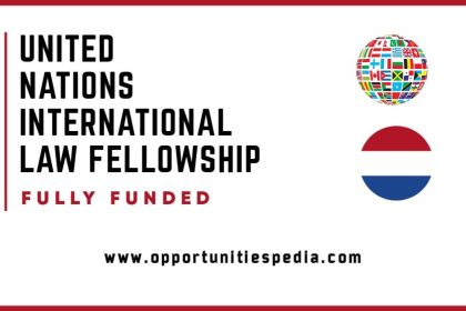 United Nations Law Fellowship 2025 (Fully Funded)