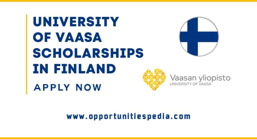 University of Vaasa Scholarships 2025 in Finland