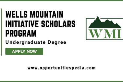 Wells Mountain Initiative Scholars Program 2025