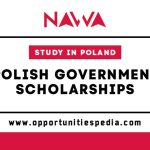 Polish Government Scholarships 2025/2026 | Study in Poland