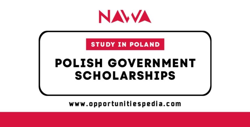 Polish Government Scholarships 2025/2026 | Study in Poland