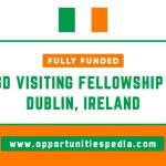 CSD Visiting Fellowship in Dublin, Ireland 2025 | Fully Funded