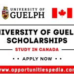 University of Guelph Scholarships 2025-26 | Study in Canada