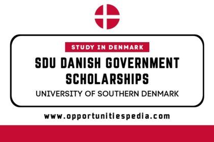 SDU Danish Government Scholarships 2026 (Study in Denmark)